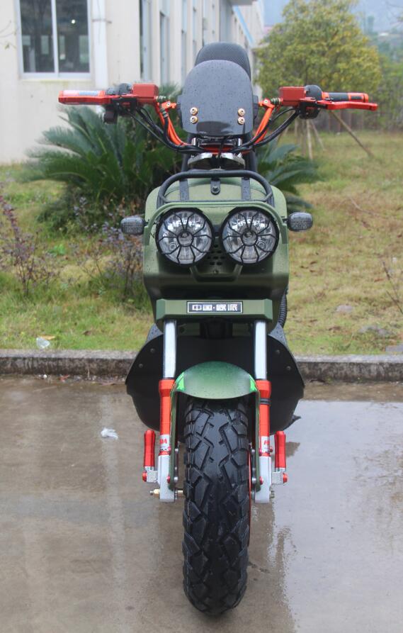 1000W Long Range Electric Scooter Disc Brakes With Colorful Hydraulic Front Fork