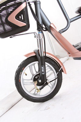 Pedal Assist Electric Bike With Child Seat Lead Acid Lithium Battery