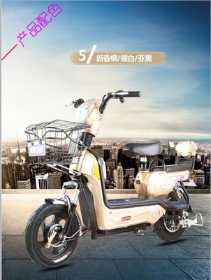 34 Tubes 2 Person Electric Bike , Adult Electric Motorbike 48v Brushless Motor Controller