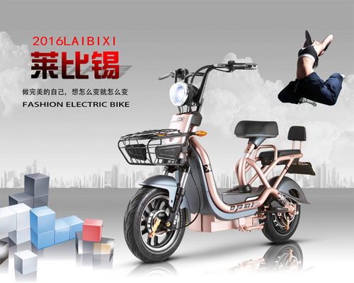 CE/EEC/DOT Adult Electric Bike Wide Wheel For Long Range City Road