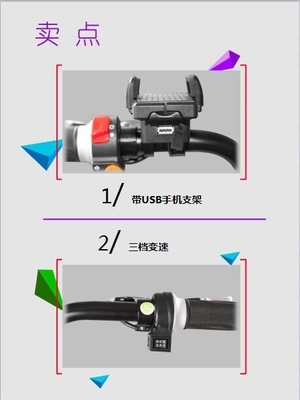 350W City Smart Electric Bicycle USB Mobile Phone Holder 48V 12AH