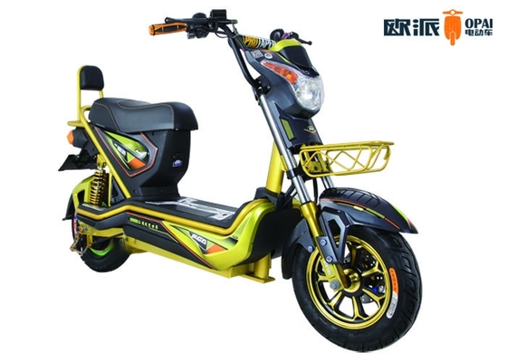 Adult Electric Sports Motorcycle 800W DC Brushless Motor Power