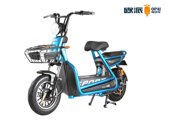 Functional Smart Adult Electric Bike 48V 20AH Rear Brake With Lock